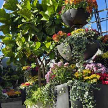 Muttart Conservatory