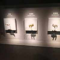 СИАНЬ за один день!