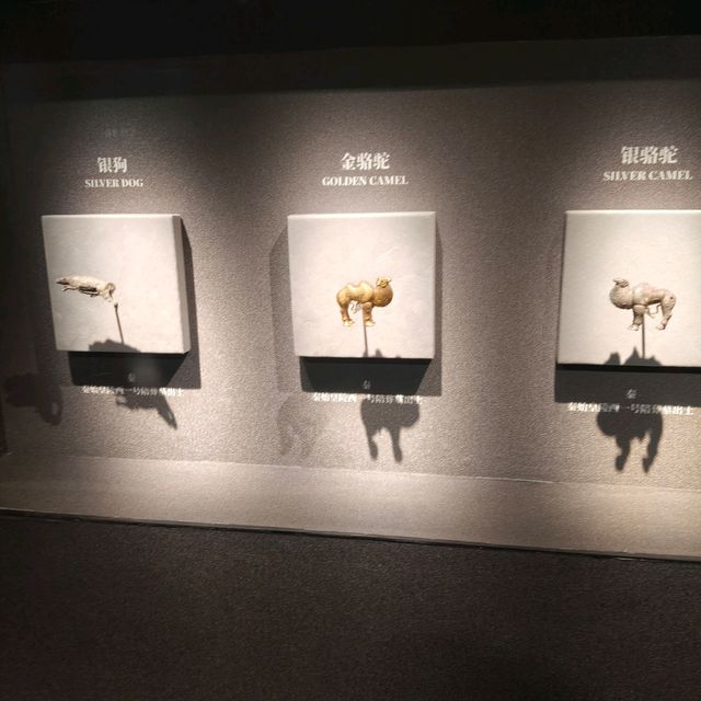 СИАНЬ за один день! СИАНЬ за один день!