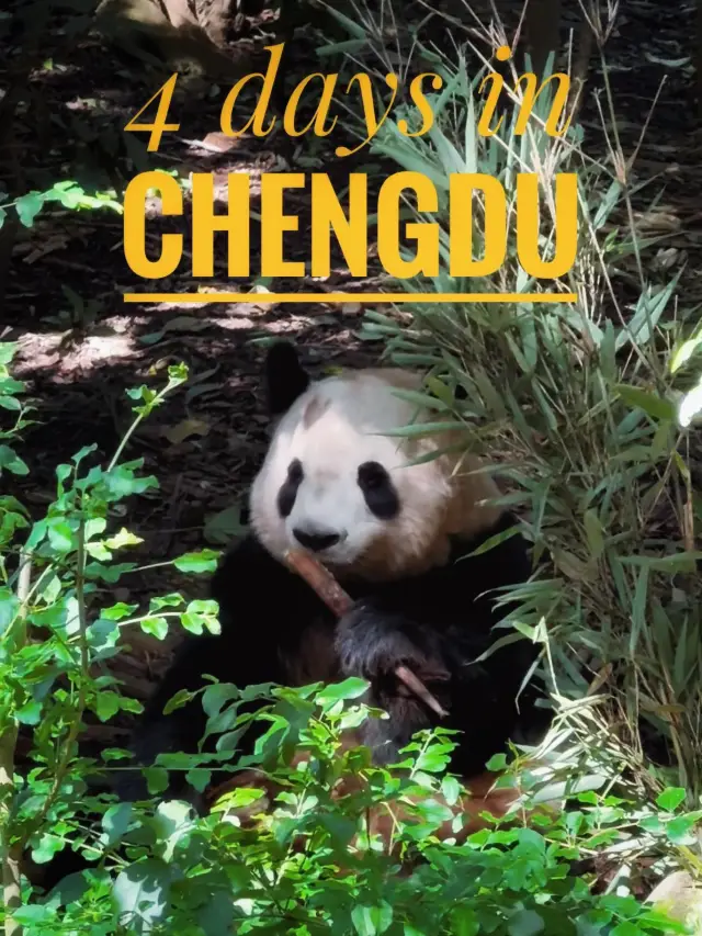 成都四天遊🐼