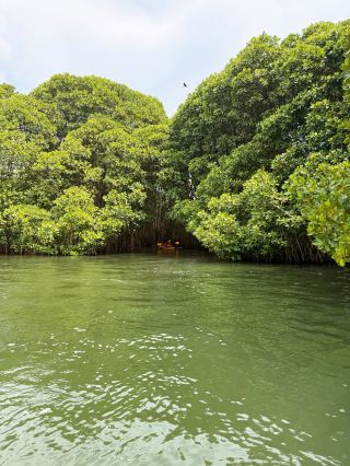 Munroe Island, Kerala – South India’s Hidden Backwater Paradise