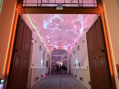 A Magical Symphony of Baroque and AI Tech! Vienna's Museum of