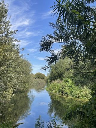 🌿💙 Winchester's Secret Wildheart: A Stroll Through Winnall Moors 💙🌿