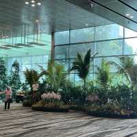 Singapore airport 😍