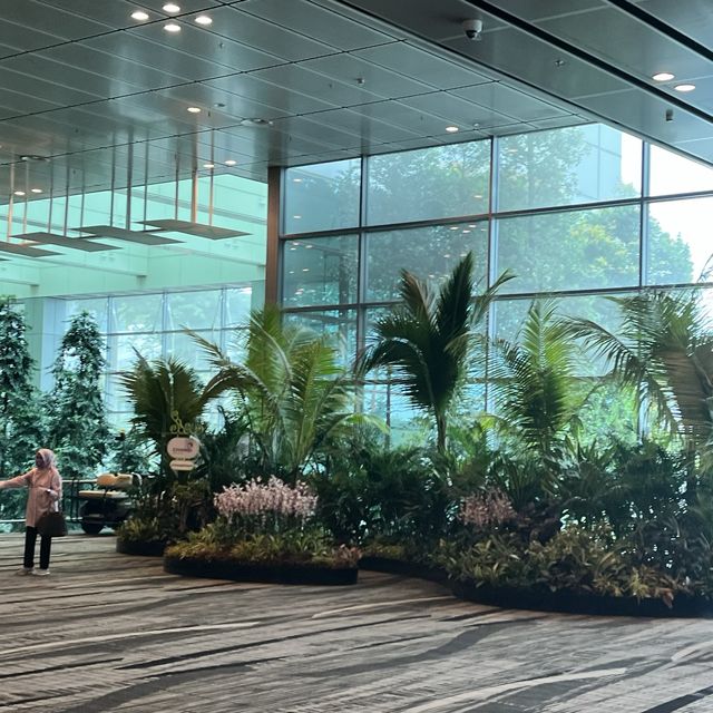 Singapore airport 😍