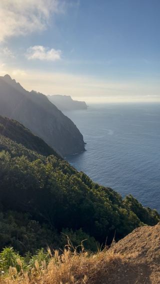 Unleash Your Adventure: Experience the Beauty of Vereda do Larano Trail in Madeira 🥾🌄