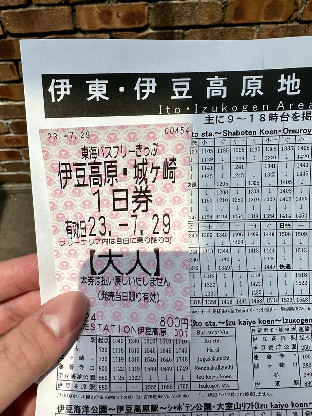 【東京周邊】大室山和城崎海岸：動漫走進現實～