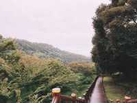 遊濟州🇰🇷天帝淵仙臨橋