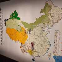 Explore the Amazing Shanghai Museum 🖼️