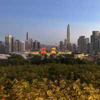 Stunning nighttime views of Shenzhen