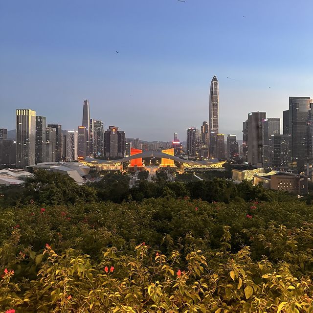 Stunning nighttime views of Shenzhen