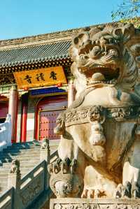 西安｜香積寺｜千年古刹名寺