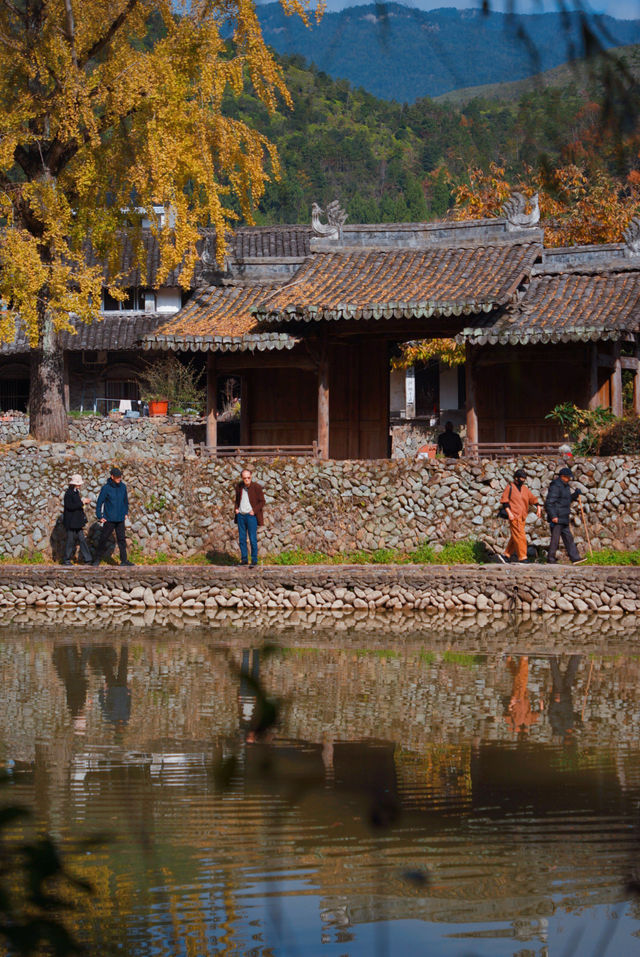 初冬的嶼北,在質樸之外,是斑斕的色彩 初冬的嶼北,在質樸之外,是斑斕的色彩