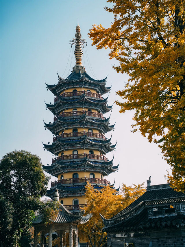 別錯過定慧寺，一起來欣賞這金黃的秋色吧！