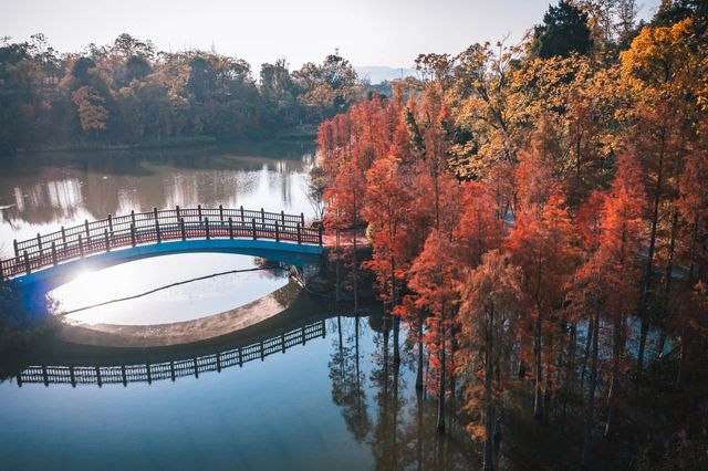 金堂冬日美景，藏在這個寶藏公園裡