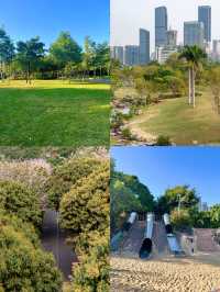 深圳 香蜜公園 |最美最浪漫的“婚姻登記處”