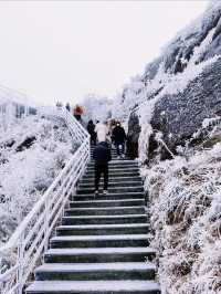 本週下雪不出省！廣東金子山迎來第一場雪