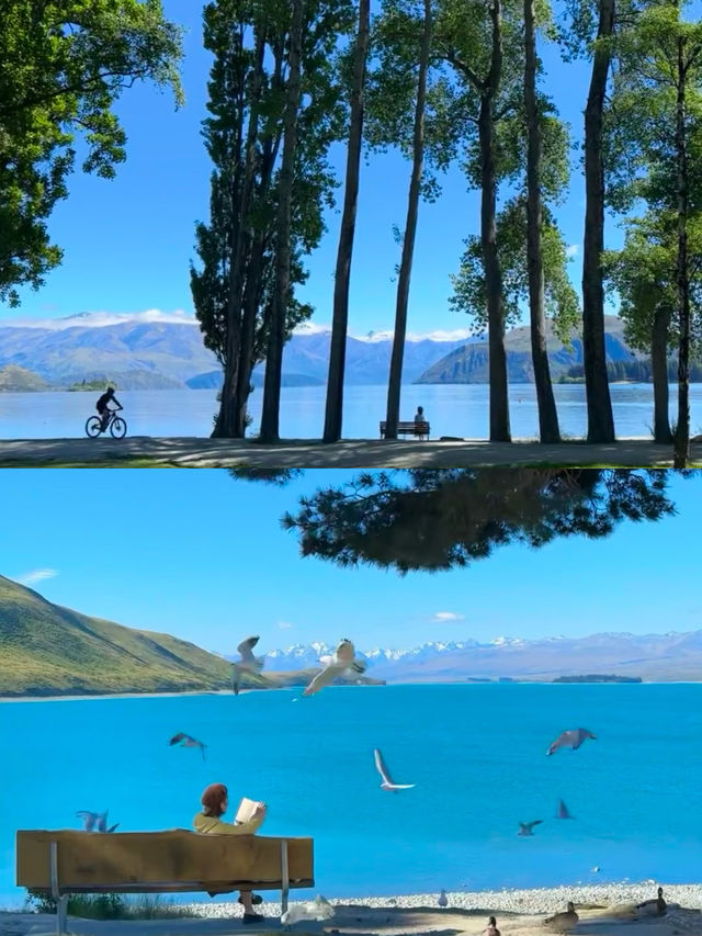 新西蘭讓我相信“美，確實能治癒心靈”