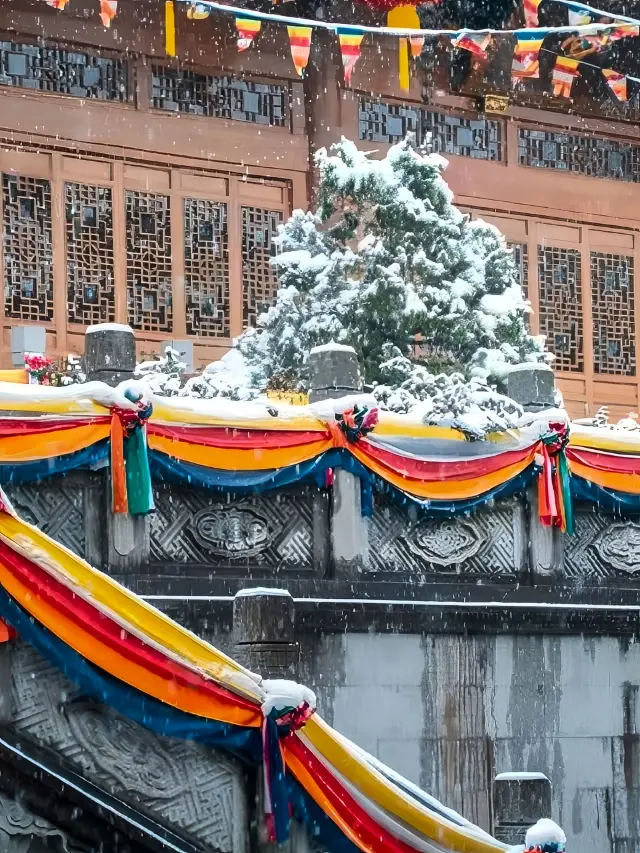 古寺雪見——去年の法喜寺の雪を見逃したので、今年は計画を立てます
