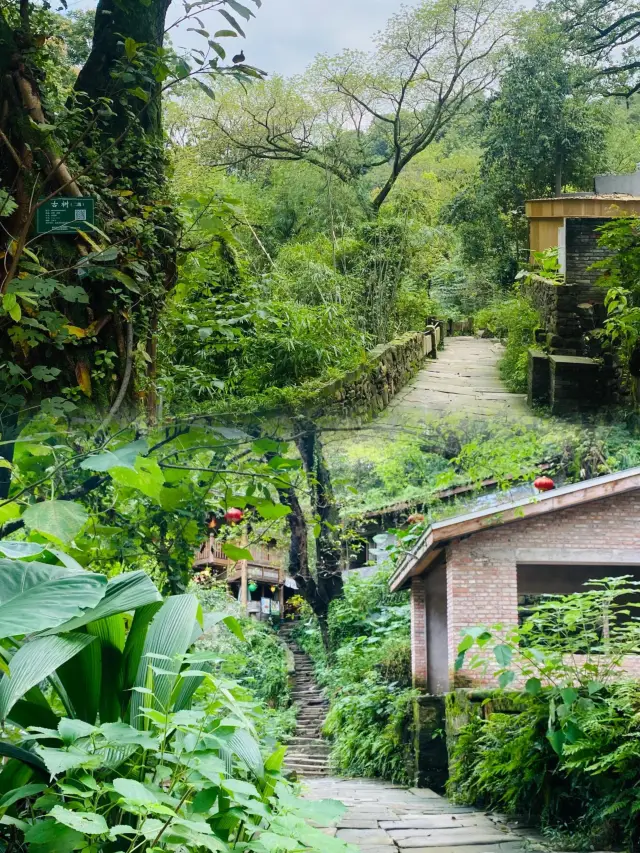 Don't just go to Hongyadong when you come to Chongqing//Highly recommend this ancient village