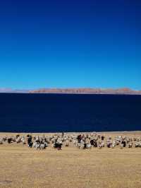 西藏色林措｜西藏第一大魔鬼湖
