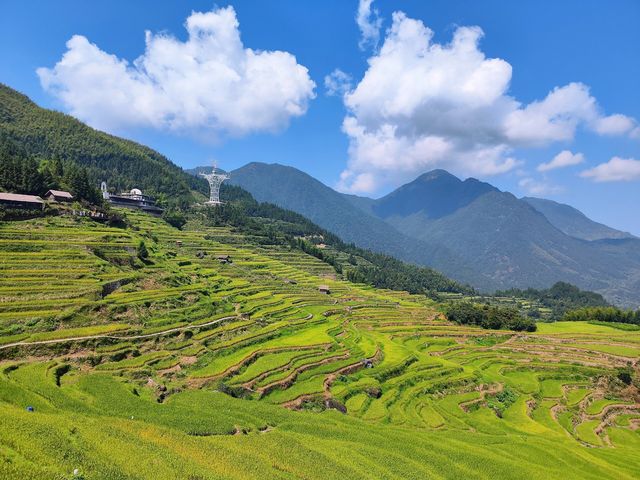 “踏上雲端的梯田之旅——揭秘中國最美的雲和梯田”