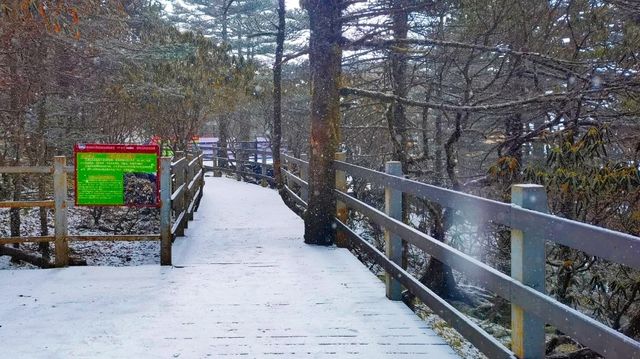 2024年1月16日，轿子雪山又又又下雪了！