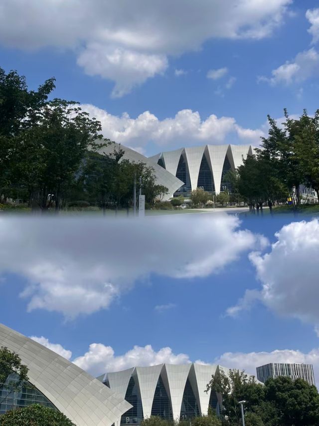 每年夏天都要去游泳的今年找了個新地方