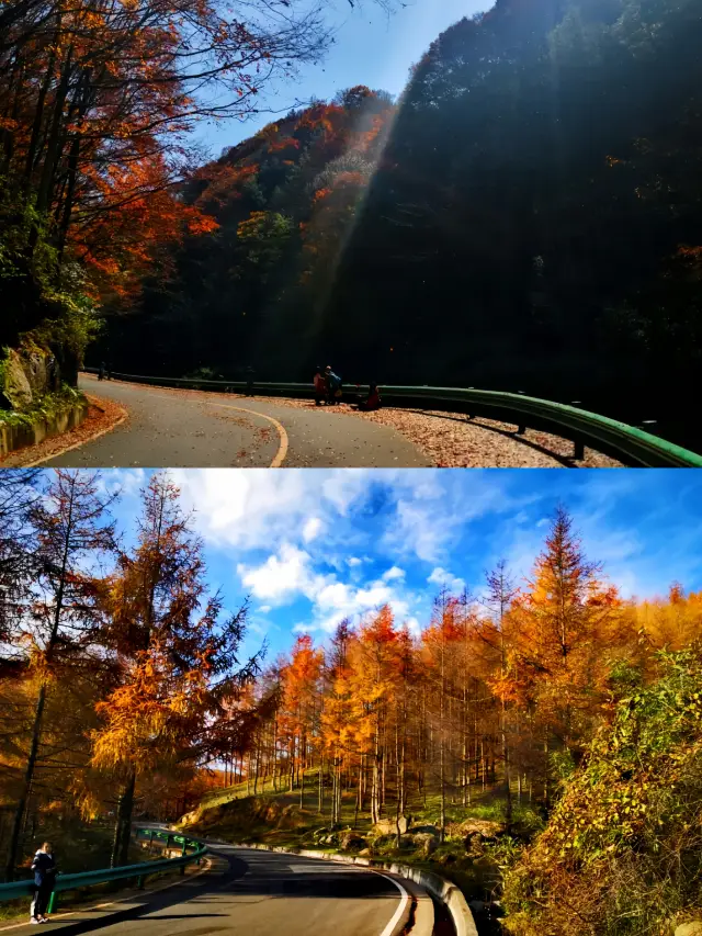Global Autumn Pursuit | Check-in Sichuan Shiyue Lake Experience Sharing