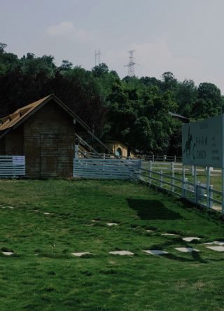 Chongqing 'Jeju Island' Sub-island | Youyun Sheep Ranch