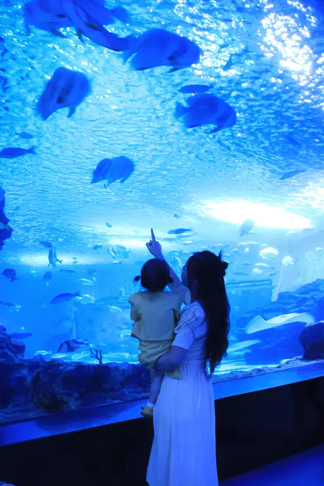 九敏！這個海洋館有奶龍和動物園！ 周末帶澄澄去了海洋館 真的太會了！！ 不僅空降了萌萌的奶龍，氣氛歡