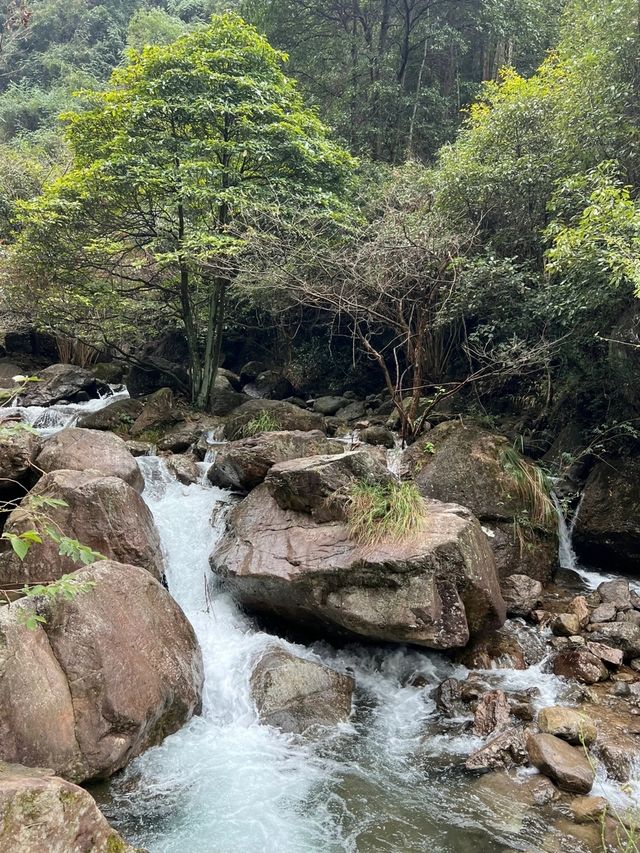 杭州富陽雨雪後的杏梅尖太美了 徒步攻略記錄