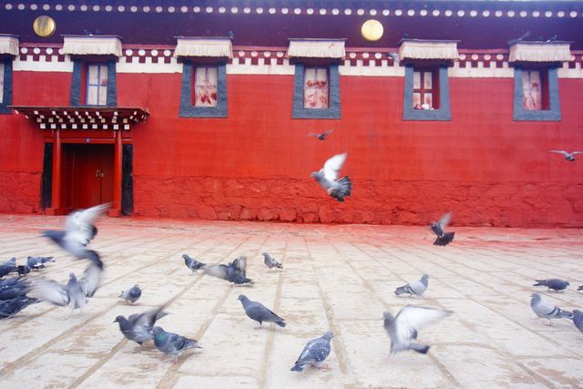 到了甘南怎麼能不去郎木寺