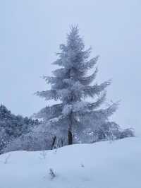 重慶巫溪紅池壩｜遠離喧囂與嘈雜的水墨雪景