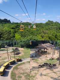 長隆動物園夏天省時省力親子遊玩攻略