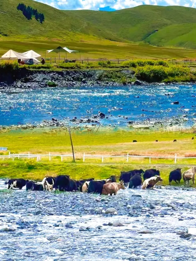 The beautiful Tagong Grassland is unforgettable