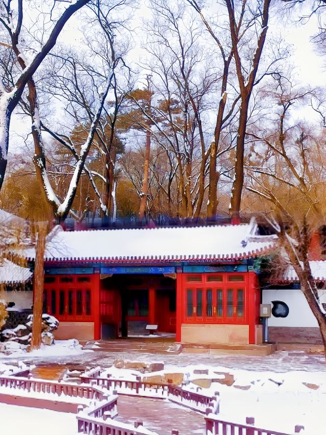 河北承德避暑山莊冰雪世界的奇妙之旅探索山莊的冬季魅力一個字美