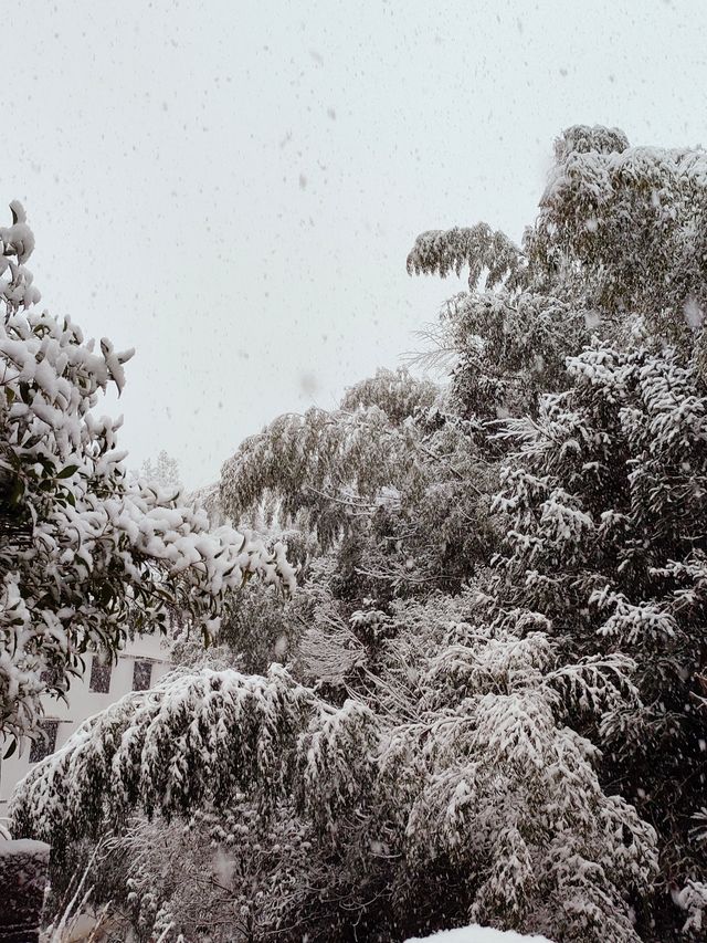 不妨下周來三清山邂逅一場雪吧