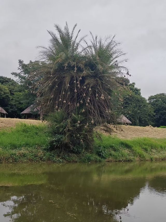 驚呆你下巴的……