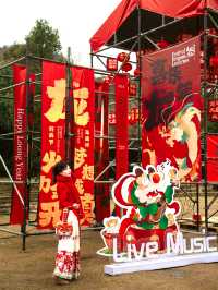 不在豫園！安吉也有這麼美的龍燈！