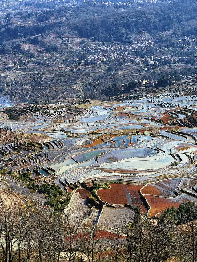 最美雲上哈尼 “元陽梯田”