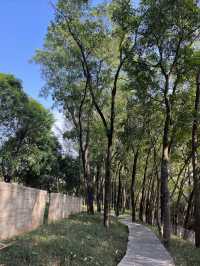 深圳Citywalk：福榮綠道