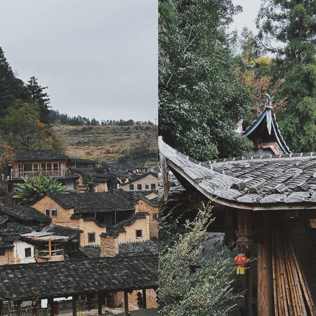 去有風的地方四坪村