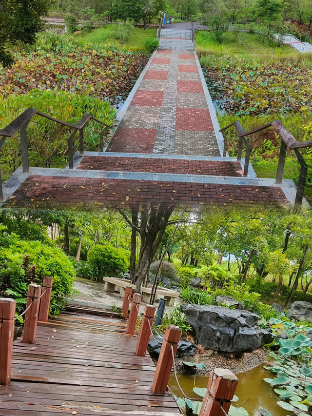 南寧小眾打卡地 | 又被我挖到寶藏景點啦