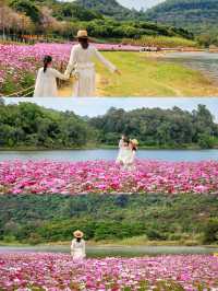 來看廣州版「芳草鮮美 落英繽紛」