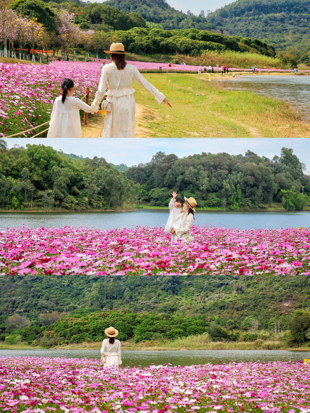 來看廣州版「芳草鮮美 落英繽紛」