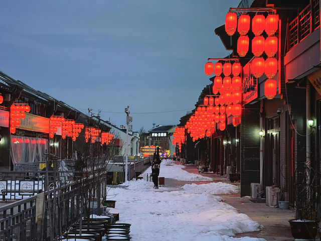 大德之州｜德州董子園步行街燈會之夜