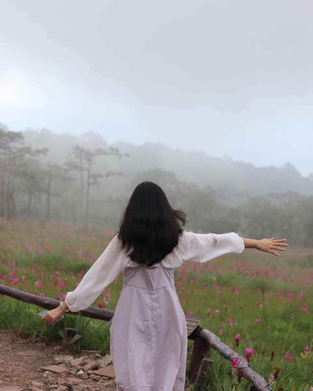 In my dream//เหมือนหลุดไปอยู่ในความฝัน🌷💖✨🫶🏻🌸