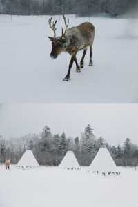 長白山之旅|雪嶺 赴一場長白山的約，突然就闖入冰雪童話世界