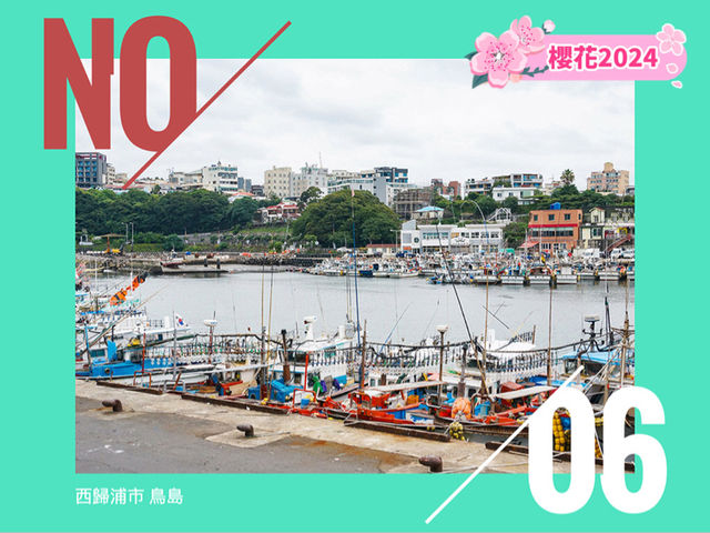 🇰🇷濟州西歸浦市鳥島